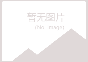 铜官山区迷失设计有限公司